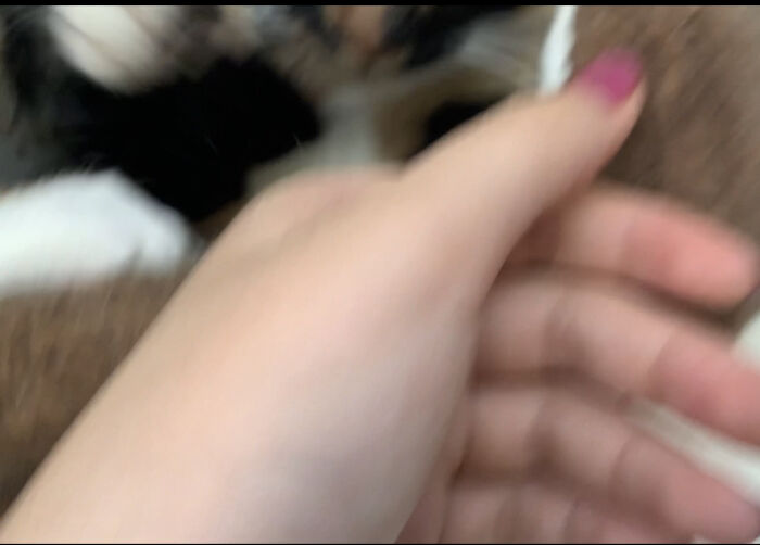 Share Unflattering Photos Of Your Pets (Closed) Share Unflattering Photos Of Your Pets (Closed)