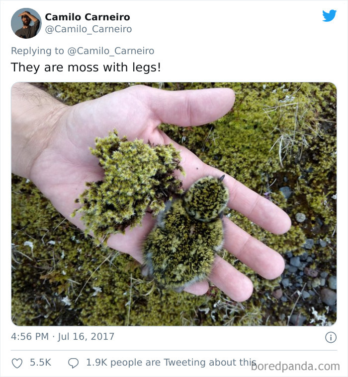 50 Interesting Comparison Images That Will Give You A New Perspective (New Pics) 50 Interesting Comparison Images That Will Give You A New Perspective (New Pics)