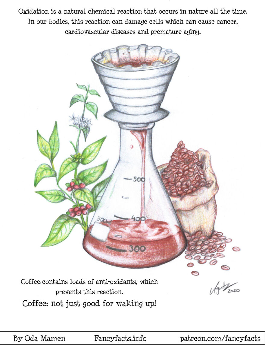 I Illustrate Interesting Scientific Facts In An Understandable Way (12 Pics) I Illustrate Interesting Scientific Facts In An Understandable Way (12 Pics)