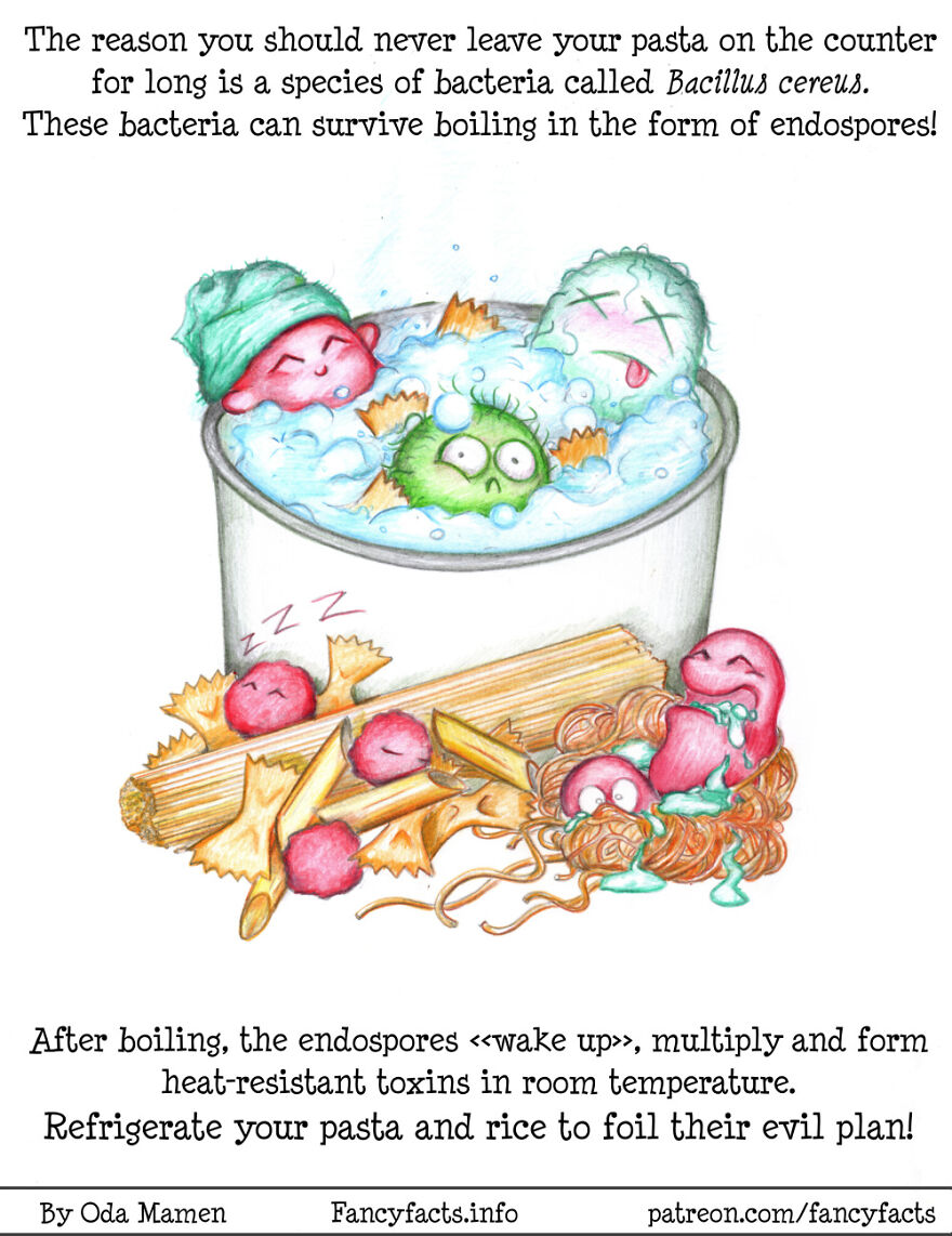 I Illustrate Interesting Scientific Facts In An Understandable Way (12 Pics) I Illustrate Interesting Scientific Facts In An Understandable Way (12 Pics)