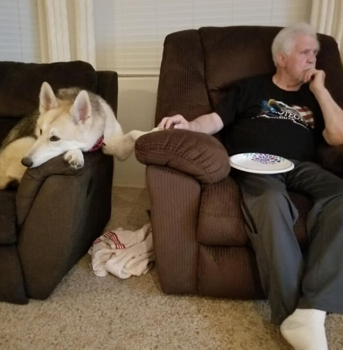 30 Of The Most Wholesome Responses To The ‘Didn’t Want A Dog’ Challenge 30 Of The Most Wholesome Responses To The ‘Didn’t Want A Dog’ Challenge