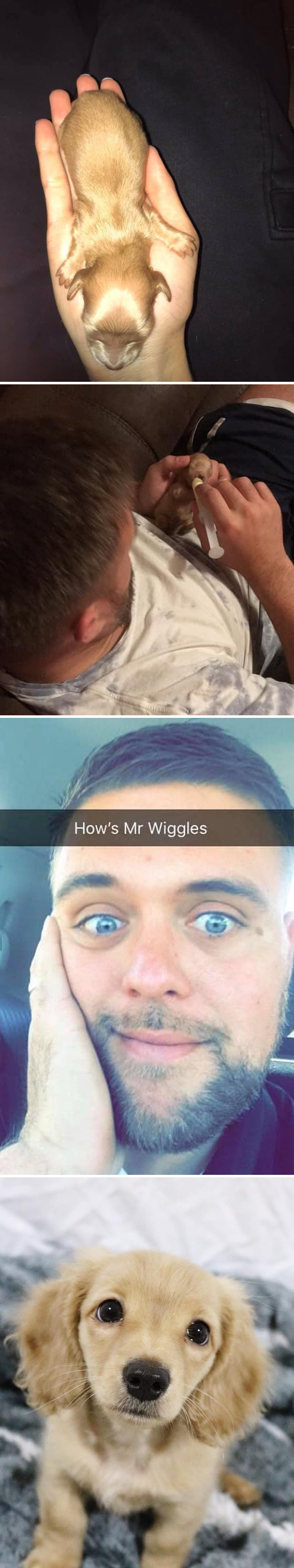 30 Of The Most Wholesome Responses To The ‘Didn’t Want A Dog’ Challenge 30 Of The Most Wholesome Responses To The ‘Didn’t Want A Dog’ Challenge