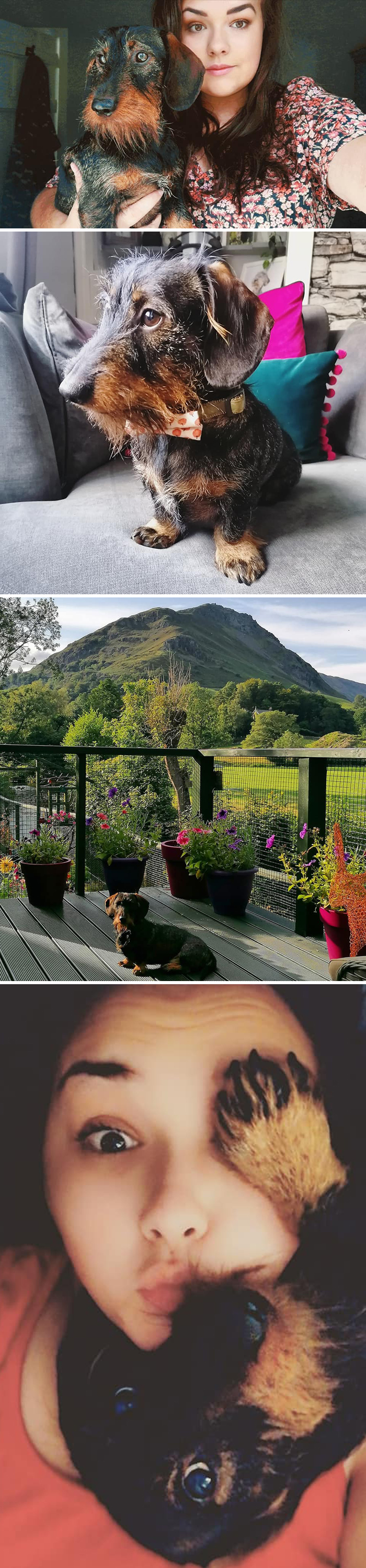 30 Of The Most Wholesome Responses To The ‘Didn’t Want A Dog’ Challenge 30 Of The Most Wholesome Responses To The ‘Didn’t Want A Dog’ Challenge