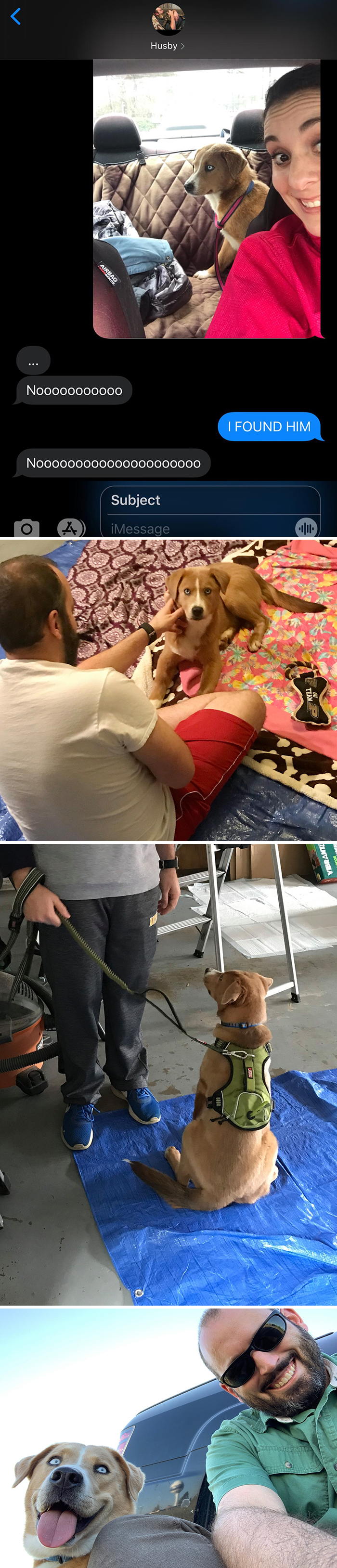 30 Of The Most Wholesome Responses To The ‘Didn’t Want A Dog’ Challenge 30 Of The Most Wholesome Responses To The ‘Didn’t Want A Dog’ Challenge