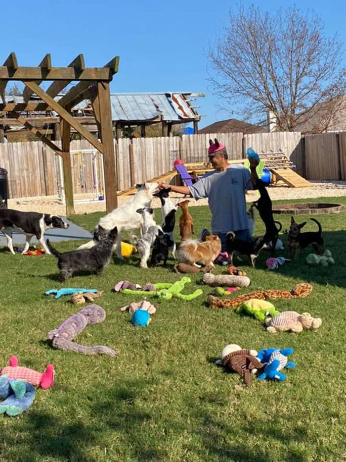 30 Of The Most Wholesome Responses To The ‘Didn’t Want A Dog’ Challenge 30 Of The Most Wholesome Responses To The ‘Didn’t Want A Dog’ Challenge