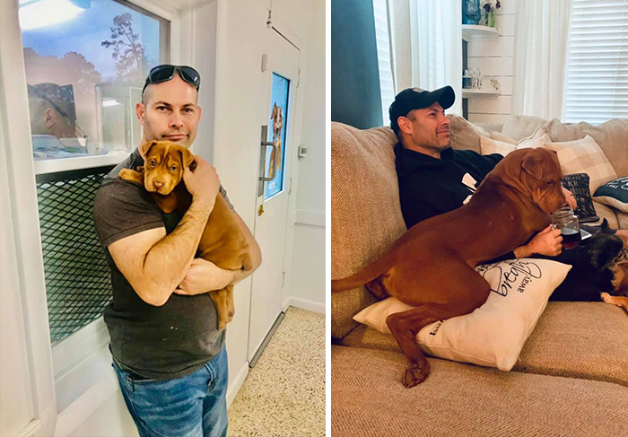 30 Of The Most Wholesome Responses To The ‘Didn’t Want A Dog’ Challenge 30 Of The Most Wholesome Responses To The ‘Didn’t Want A Dog’ Challenge