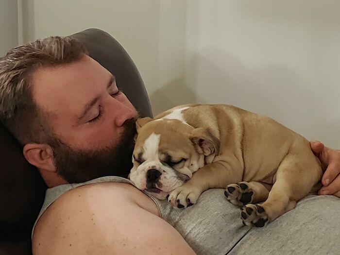 30 Of The Most Wholesome Responses To The ‘Didn’t Want A Dog’ Challenge 30 Of The Most Wholesome Responses To The ‘Didn’t Want A Dog’ Challenge