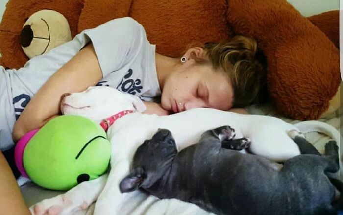 30 Of The Most Wholesome Responses To The ‘Didn’t Want A Dog’ Challenge 30 Of The Most Wholesome Responses To The ‘Didn’t Want A Dog’ Challenge