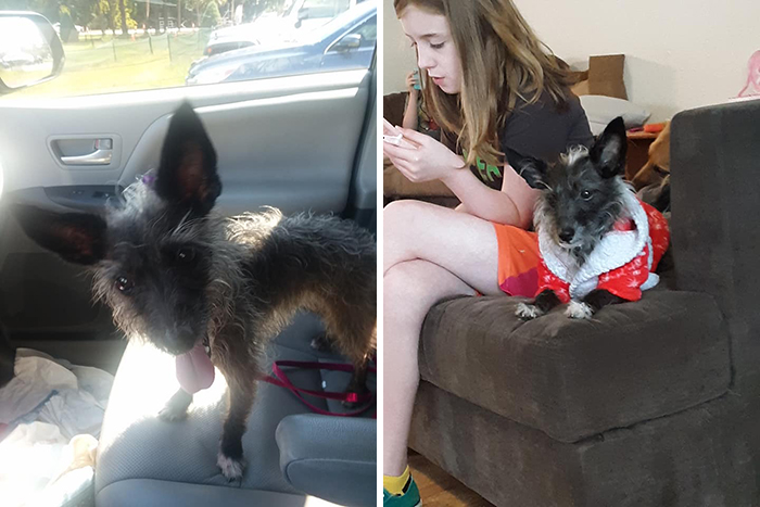 30 Of The Most Wholesome Responses To The ‘Didn’t Want A Dog’ Challenge 30 Of The Most Wholesome Responses To The ‘Didn’t Want A Dog’ Challenge