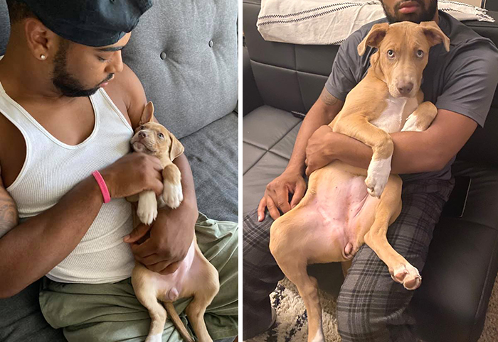 30 Of The Most Wholesome Responses To The ‘Didn’t Want A Dog’ Challenge 30 Of The Most Wholesome Responses To The ‘Didn’t Want A Dog’ Challenge