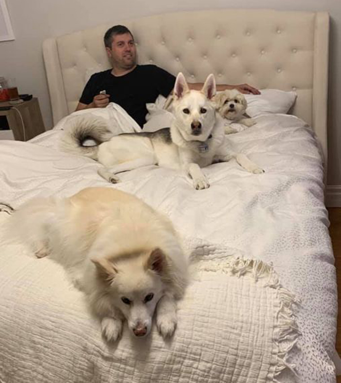 30 Of The Most Wholesome Responses To The ‘Didn’t Want A Dog’ Challenge 30 Of The Most Wholesome Responses To The ‘Didn’t Want A Dog’ Challenge