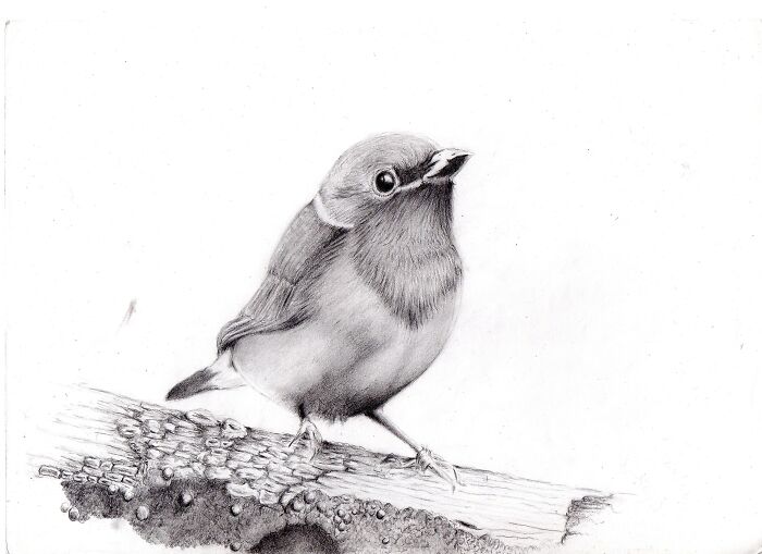 Hey Pandas, What Is One Piece Of Art That You Are Most Proud Of? (Closed) Hey Pandas, What Is One Piece Of Art That You Are Most Proud Of? (Closed)