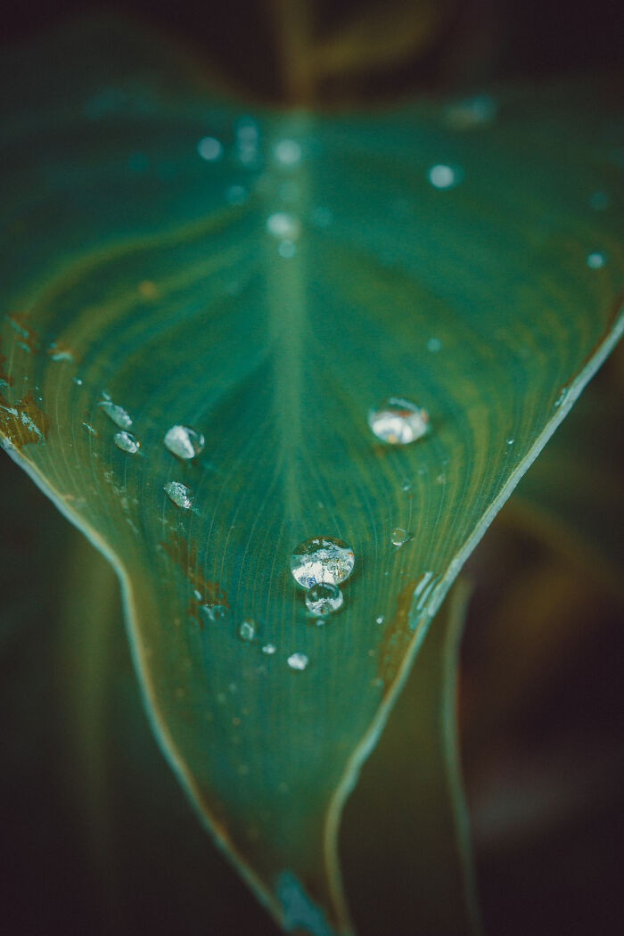 Hey Pandas, What Is One Piece Of Art That You Are Most Proud Of? (Closed) Hey Pandas, What Is One Piece Of Art That You Are Most Proud Of? (Closed)