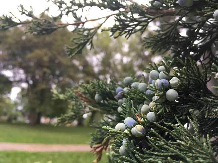 Hey Pandas, What Is One Piece Of Art That You Are Most Proud Of? (Closed) Hey Pandas, What Is One Piece Of Art That You Are Most Proud Of? (Closed)