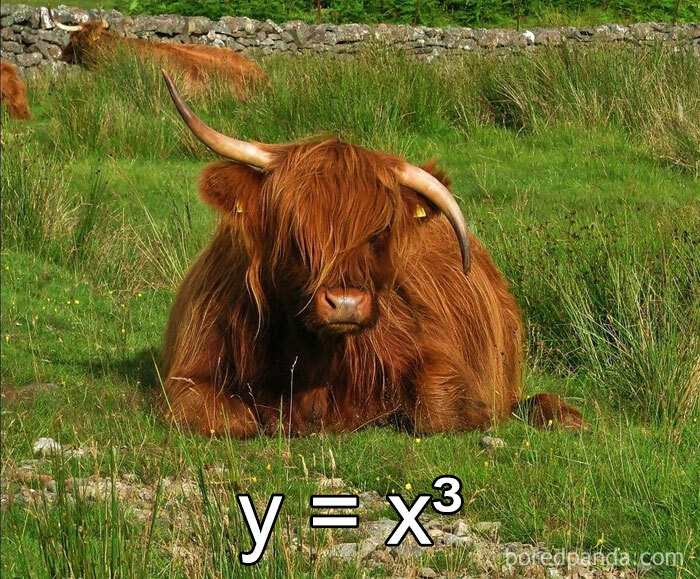 30 Funny Math Jokes Most People Probably Won’t Get 30 Funny Math Jokes Most People Probably Won’t Get