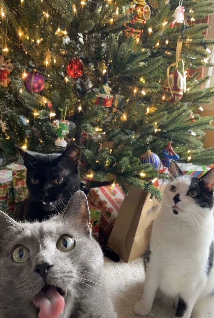 Hey Pandas, Share A Photo You Took That Makes You Laugh Every Time You See It (Closed) Hey Pandas, Share A Photo You Took That Makes You Laugh Every Time You See It (Closed)