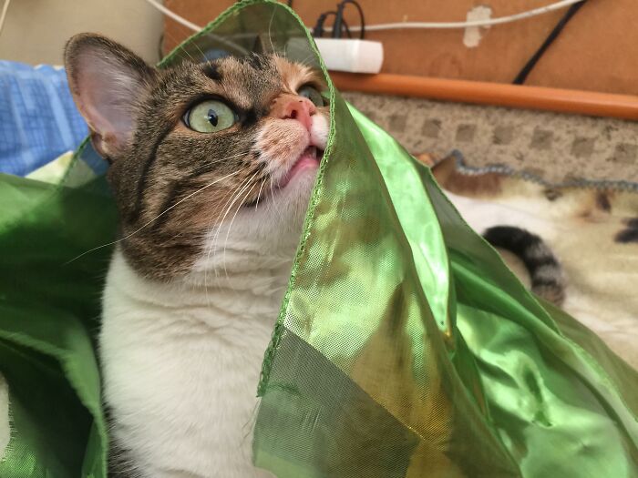 Hey Pandas, Share A Photo You Took That Makes You Laugh Every Time You See It (Closed) Hey Pandas, Share A Photo You Took That Makes You Laugh Every Time You See It (Closed)