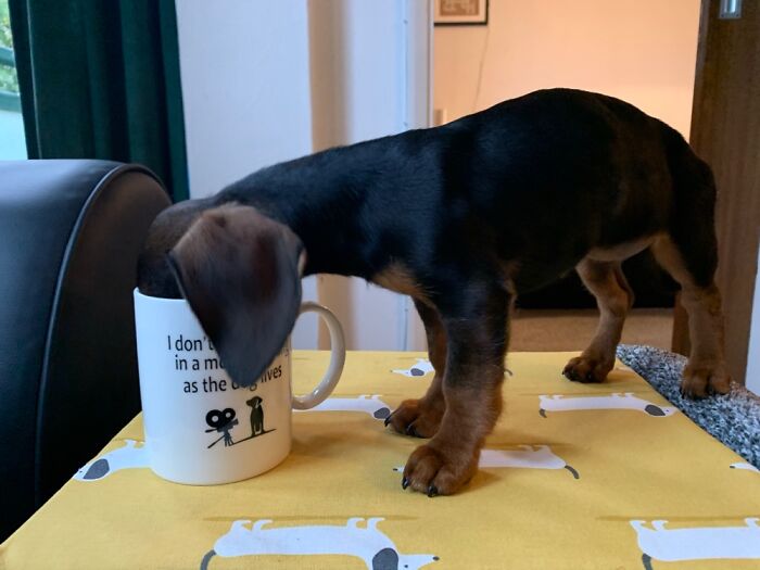 Hey Pandas, Share A Photo You Took That Makes You Laugh Every Time You See It (Closed) Hey Pandas, Share A Photo You Took That Makes You Laugh Every Time You See It (Closed)