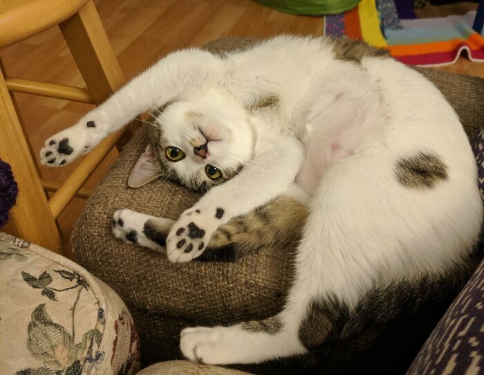 Hey Pandas, Share A Photo You Took That Makes You Laugh Every Time You See It (Closed) Hey Pandas, Share A Photo You Took That Makes You Laugh Every Time You See It (Closed)