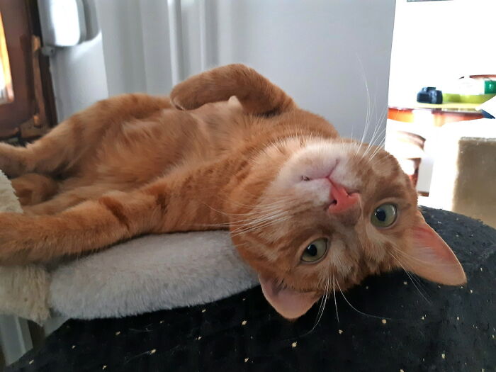 Hey Pandas, Share A Photo You Took That Makes You Laugh Every Time You See It (Closed) Hey Pandas, Share A Photo You Took That Makes You Laugh Every Time You See It (Closed)