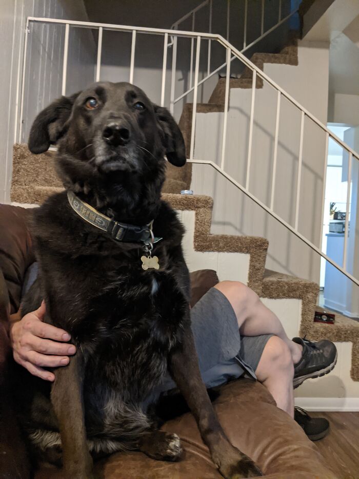 Hey Pandas, Share A Photo You Took That Makes You Laugh Every Time You See It (Closed) Hey Pandas, Share A Photo You Took That Makes You Laugh Every Time You See It (Closed)