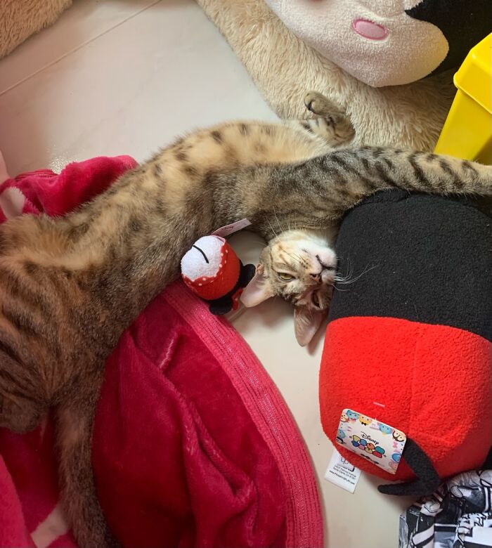 Hey Pandas, Share A Photo You Took That Makes You Laugh Every Time You See It (Closed) Hey Pandas, Share A Photo You Took That Makes You Laugh Every Time You See It (Closed)