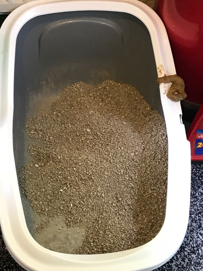 Hey Pandas, Share A Photo You Took That Makes You Laugh Every Time You See It (Closed) Hey Pandas, Share A Photo You Took That Makes You Laugh Every Time You See It (Closed)