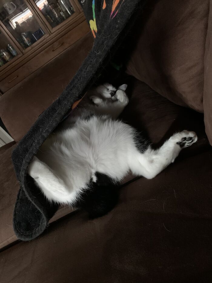 Hey Pandas, Share A Photo You Took That Makes You Laugh Every Time You See It (Closed) Hey Pandas, Share A Photo You Took That Makes You Laugh Every Time You See It (Closed)