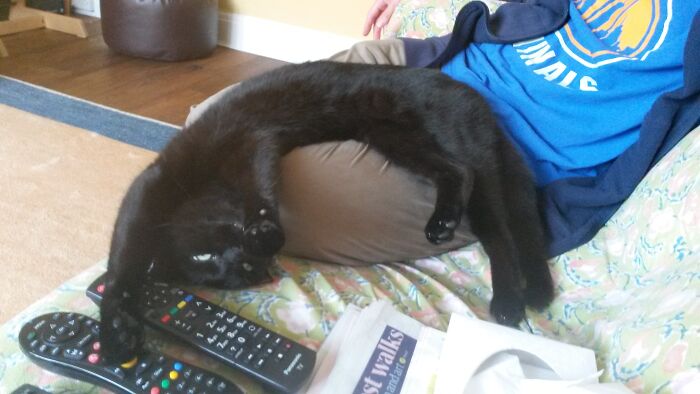 Hey Pandas, Share A Photo You Took That Makes You Laugh Every Time You See It (Closed) Hey Pandas, Share A Photo You Took That Makes You Laugh Every Time You See It (Closed)