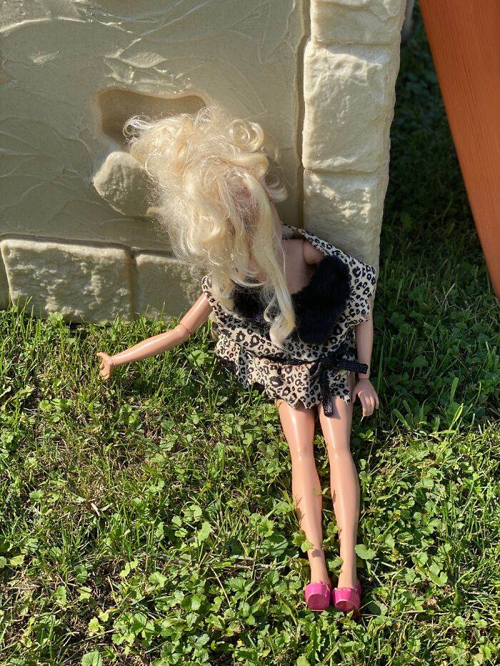 Hey Pandas, Share A Photo You Took That Makes You Laugh Every Time You See It (Closed) Hey Pandas, Share A Photo You Took That Makes You Laugh Every Time You See It (Closed)