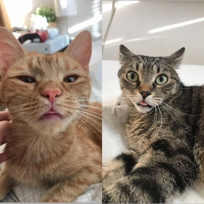 Hey Pandas, Share A Photo You Took That Makes You Laugh Every Time You See It (Closed) Hey Pandas, Share A Photo You Took That Makes You Laugh Every Time You See It (Closed)