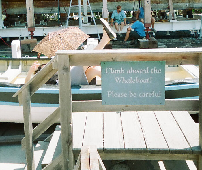 Hey Pandas, Share A Photo You Took That Makes You Laugh Every Time You See It (Closed) Hey Pandas, Share A Photo You Took That Makes You Laugh Every Time You See It (Closed)