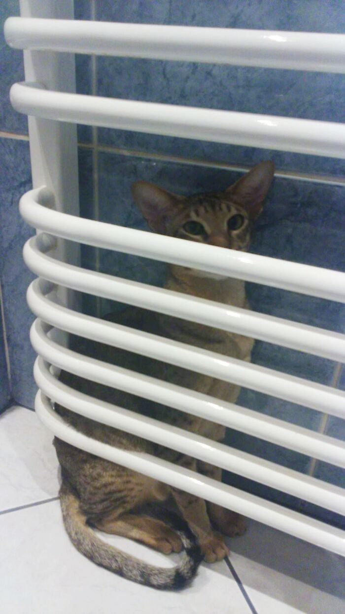 Hey Pandas, Share A Photo You Took That Makes You Laugh Every Time You See It (Closed) Hey Pandas, Share A Photo You Took That Makes You Laugh Every Time You See It (Closed)