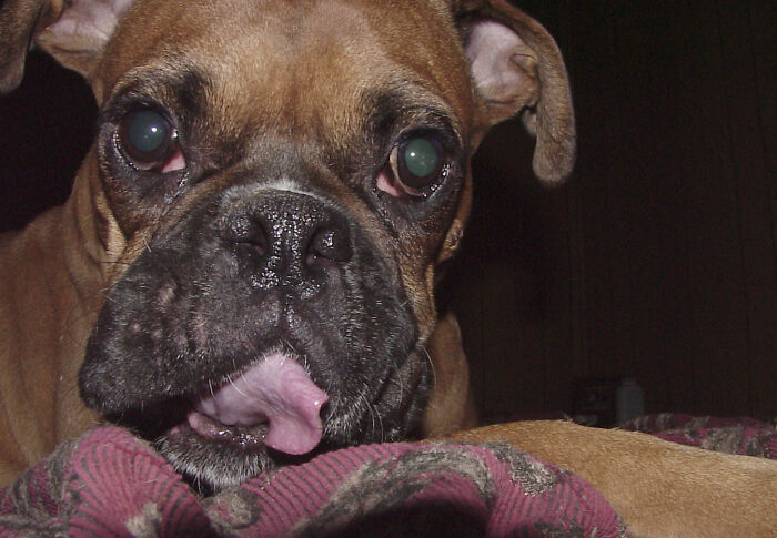 Hey Pandas, Share A Photo You Took That Makes You Laugh Every Time You See It (Closed) Hey Pandas, Share A Photo You Took That Makes You Laugh Every Time You See It (Closed)