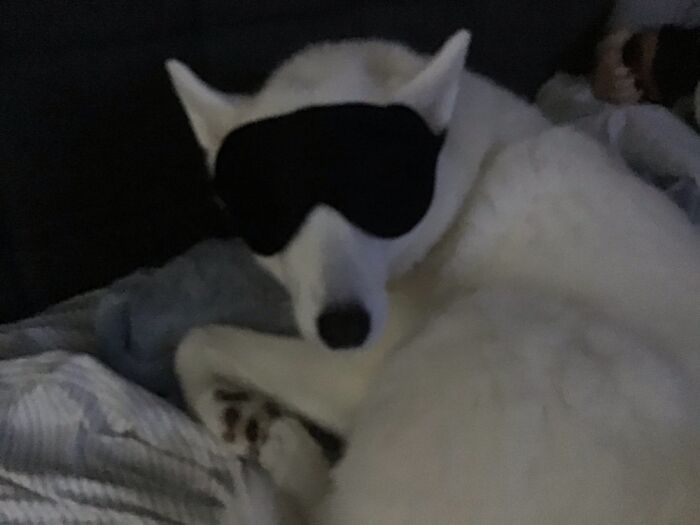 Hey Pandas, Share A Photo You Took That Makes You Laugh Every Time You See It (Closed) Hey Pandas, Share A Photo You Took That Makes You Laugh Every Time You See It (Closed)