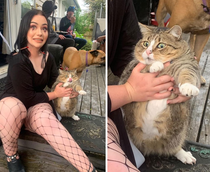 30 Of The Funniest Cat Pics That Owners Uploaded For The Unflattering Cat Photo Challenge (New Pics) 30 Of The Funniest Cat Pics That Owners Uploaded For The Unflattering Cat Photo Challenge (New Pics)