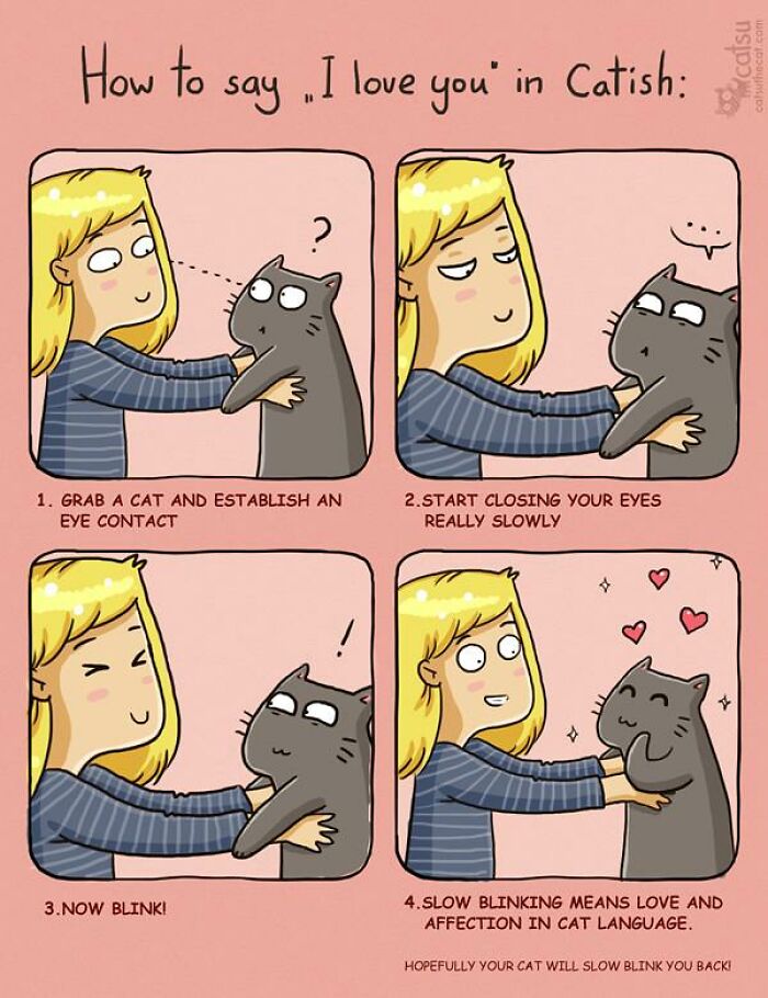 31 Comics That Cat Lovers Will Totally Relate To By This Comic Artist (New Pics) 31 Comics That Cat Lovers Will Totally Relate To By This Comic Artist (New Pics)