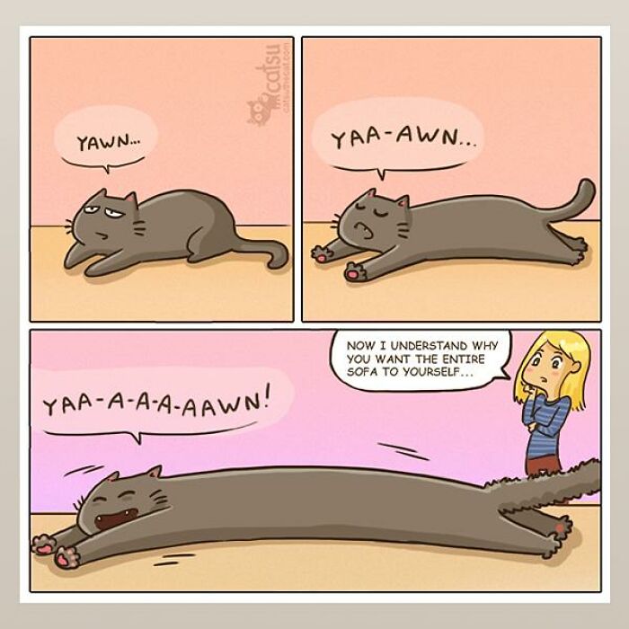 31 Comics That Cat Lovers Will Totally Relate To By This Comic Artist (New Pics) 31 Comics That Cat Lovers Will Totally Relate To By This Comic Artist (New Pics)