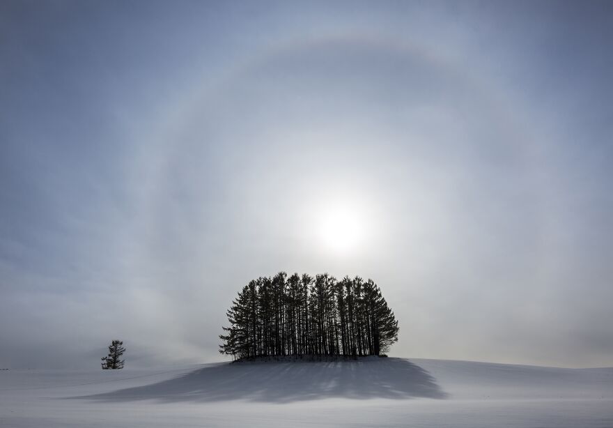 30 Incredible Photos That Won The International Photography Awards 2020 30 Incredible Photos That Won The International Photography Awards 2020
