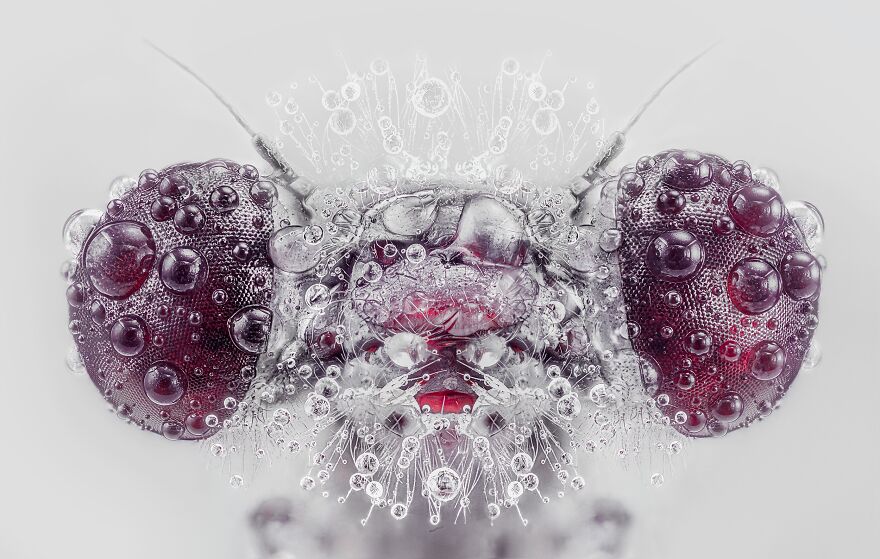 30 Incredible Photos That Won The International Photography Awards 2020 30 Incredible Photos That Won The International Photography Awards 2020