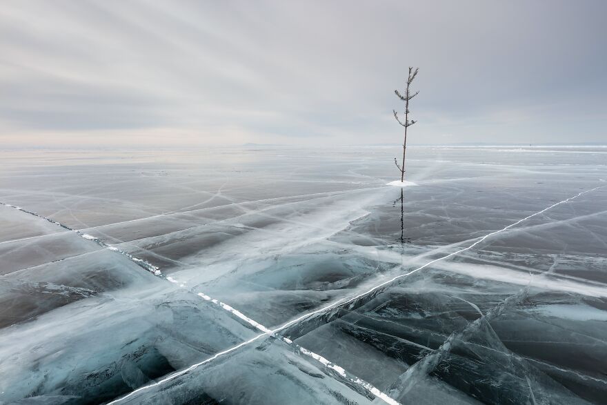 30 Incredible Photos That Won The International Photography Awards 2020 30 Incredible Photos That Won The International Photography Awards 2020