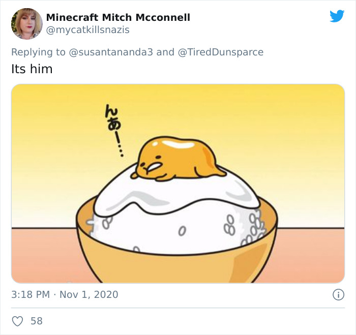 Extremely Rare Albino Turtle Was Found In India And It Looks Like A Slice Of Melted Cheese Extremely Rare Albino Turtle Was Found In India And It Looks Like A Slice Of Melted Cheese