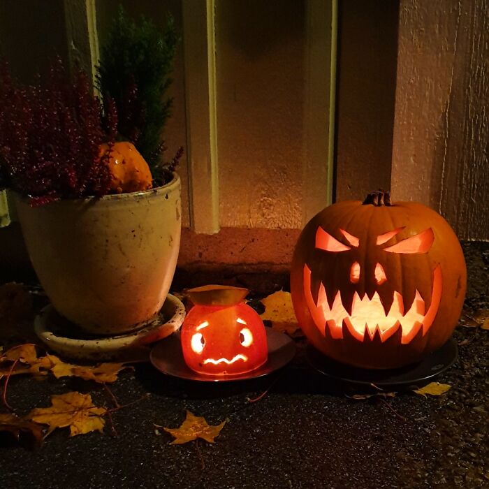 Hey Pandas, Did You Carve A Pumpkin For Halloween? Show Us! (Ended) Hey Pandas, Did You Carve A Pumpkin For Halloween? Show Us! (Ended)