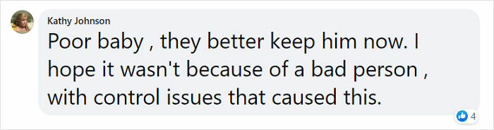 Golden Retriever Walks Over 62 Miles Over 2 Weeks To Find Her Owners Golden Retriever Walks Over 62 Miles Over 2 Weeks To Find Her Owners