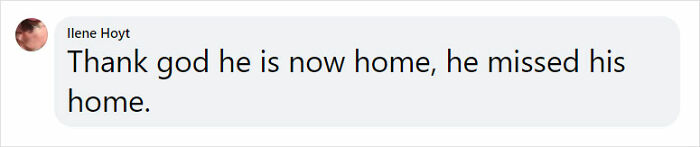 Golden Retriever Walks Over 62 Miles Over 2 Weeks To Find Her Owners Golden Retriever Walks Over 62 Miles Over 2 Weeks To Find Her Owners