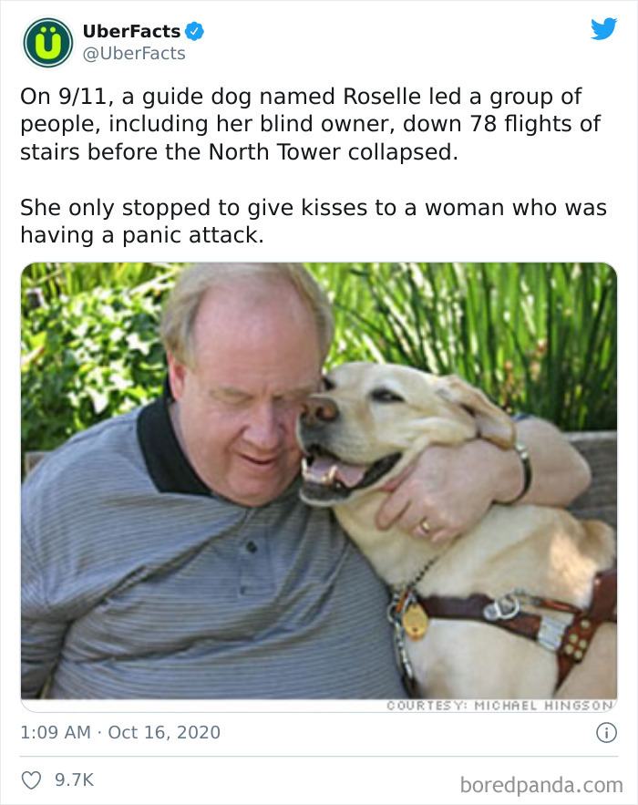 40 Random And Fascinating Facts About Our World You Might Not Have Heard Of, By UberFacts 40 Random And Fascinating Facts About Our World You Might Not Have Heard Of, By UberFacts