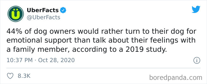 40 Random And Fascinating Facts About Our World You Might Not Have Heard Of, By UberFacts 40 Random And Fascinating Facts About Our World You Might Not Have Heard Of, By UberFacts