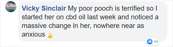 Here&#8217;s A Quick Life Hack To Calm Stressed Pets During Fireworks Using Just A Pair Of Socks