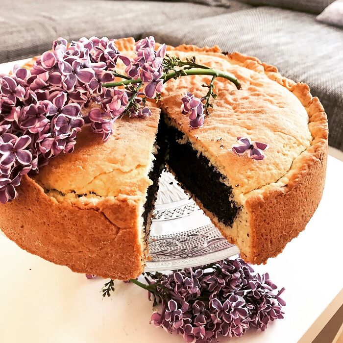 Hey Pandas, Show Us The Best Meal You&#8217;ve Cooked (Closed)