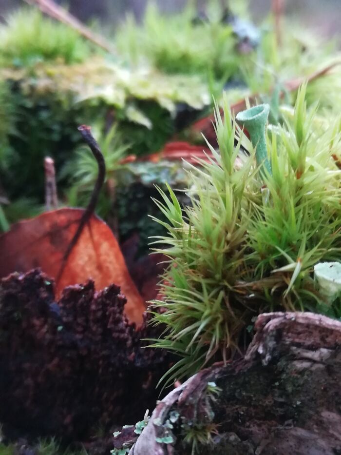 Hey Pandas! What Is Your Favorite Place In The World? (Ended)